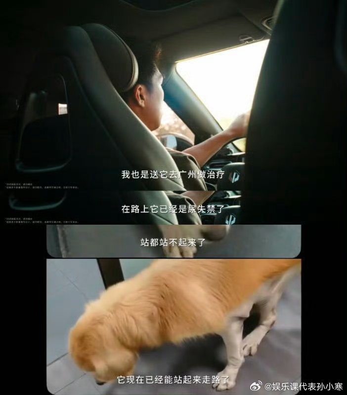 广东的0元宠物救护车真的被广东这位宠物医生暖到了！免费开宠物救护车跨城救毛孩子，