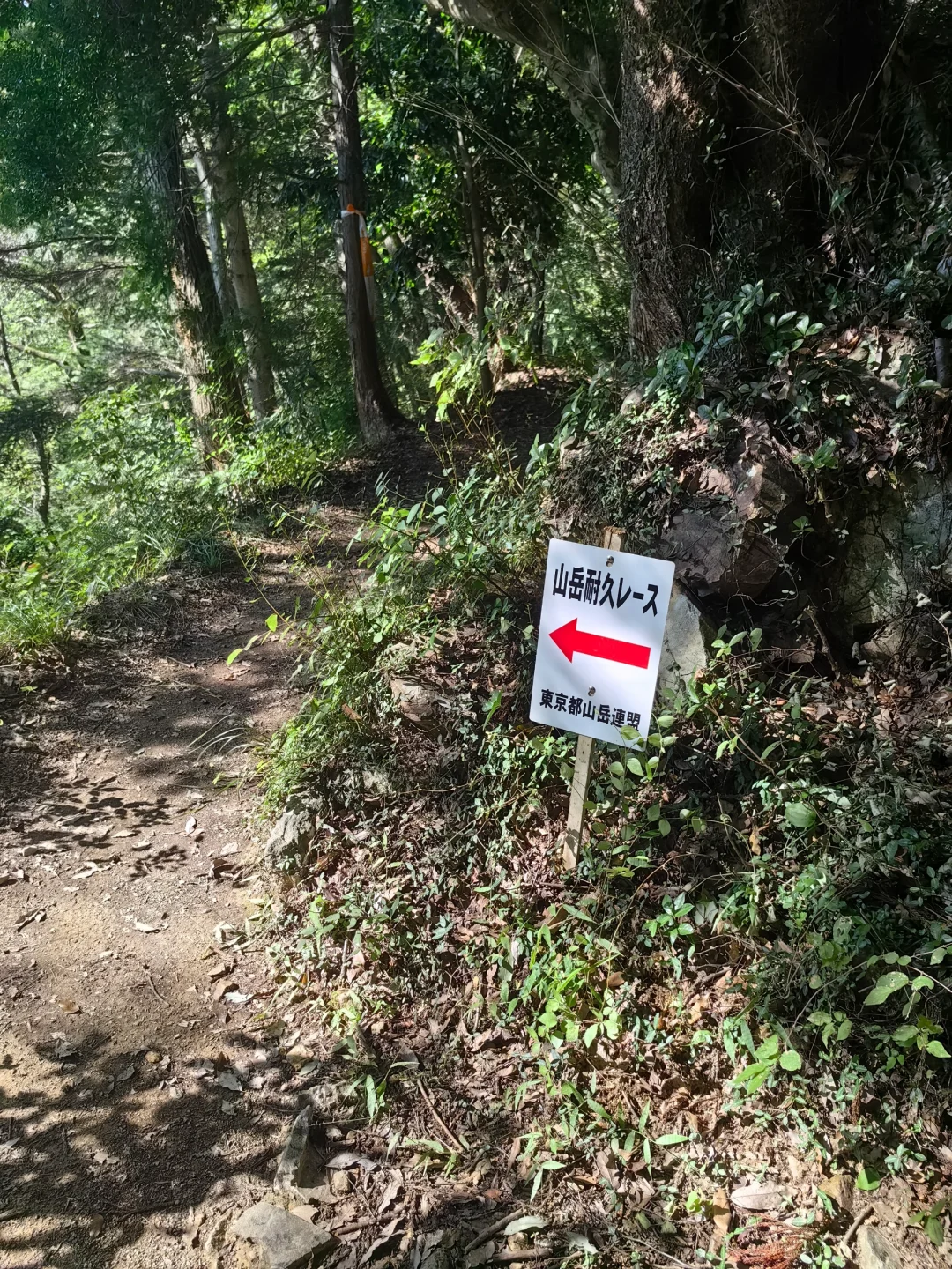 探山/日本 | 武藏五日市站～高尾站