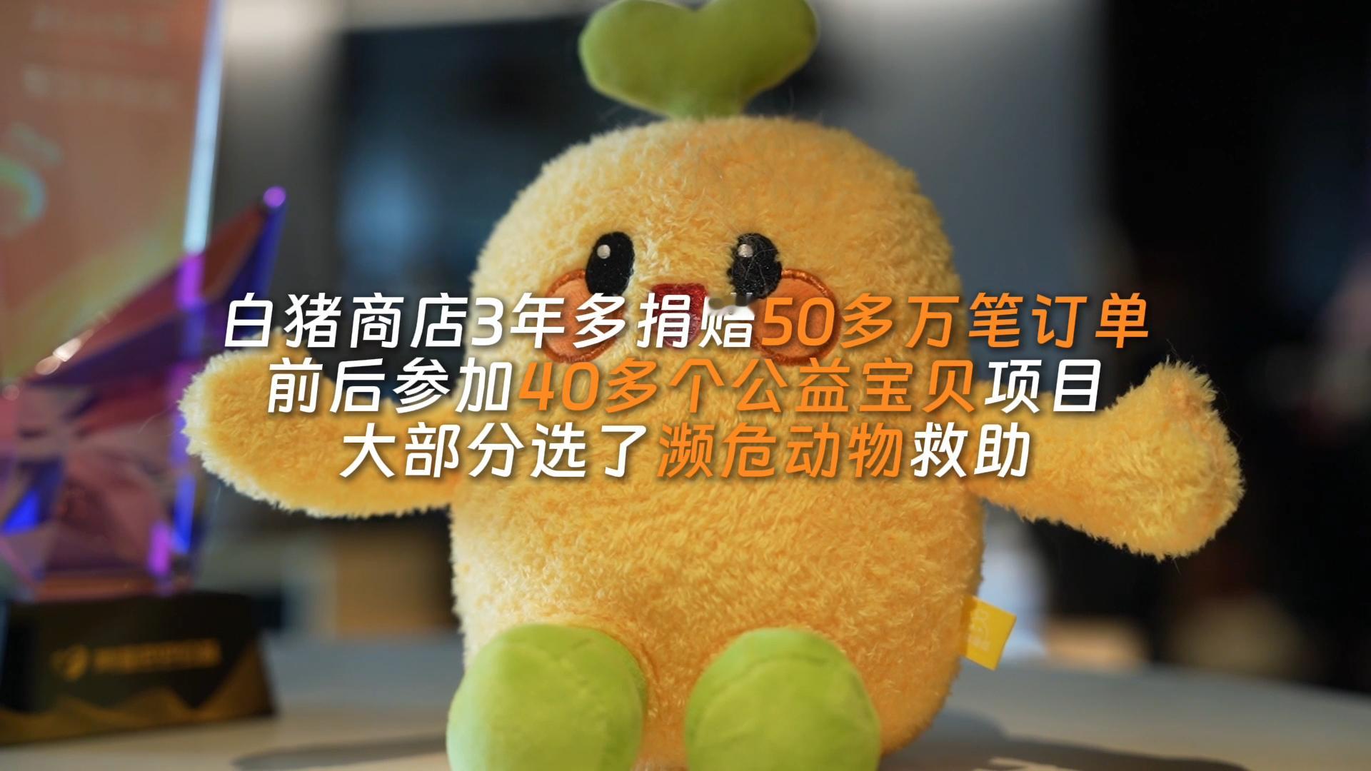 #宠物店云养100多只濒危黑熊#爱出者爱返，福往者福来，放弃百万年薪为猫狗打工自