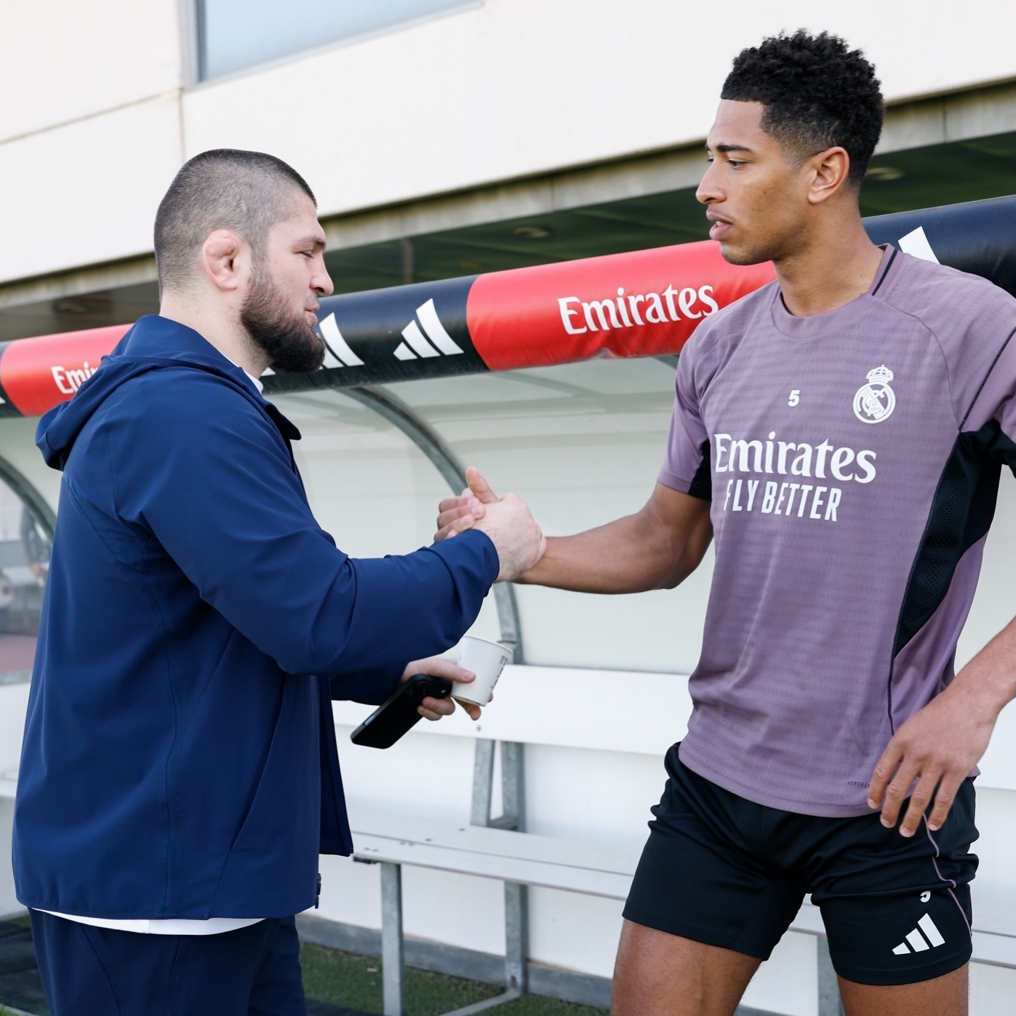 贝林厄姆×哈比布·努尔马戈梅多夫🥊 