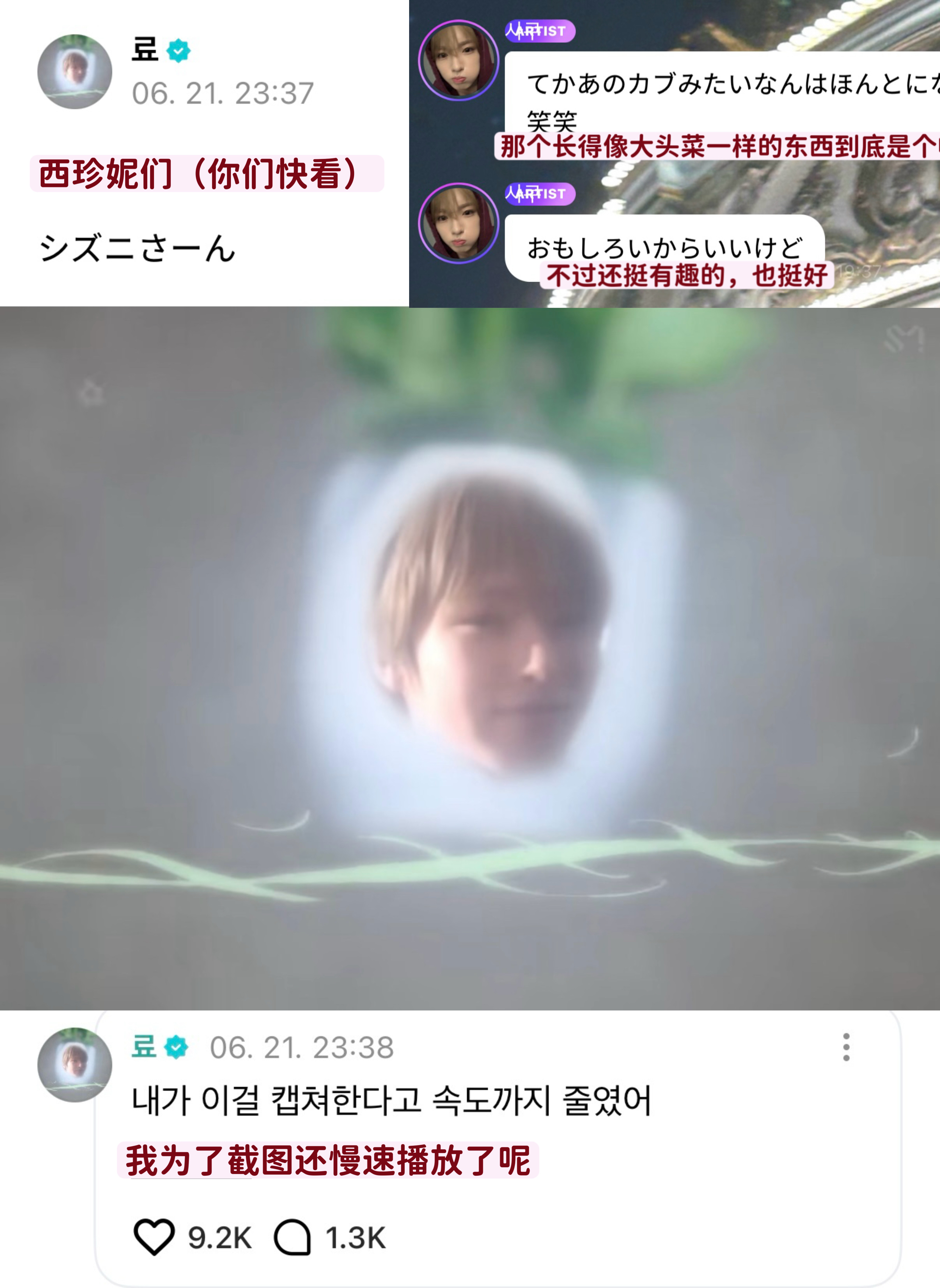 哈哈哈哈哈哈大头菜小猪🐽 