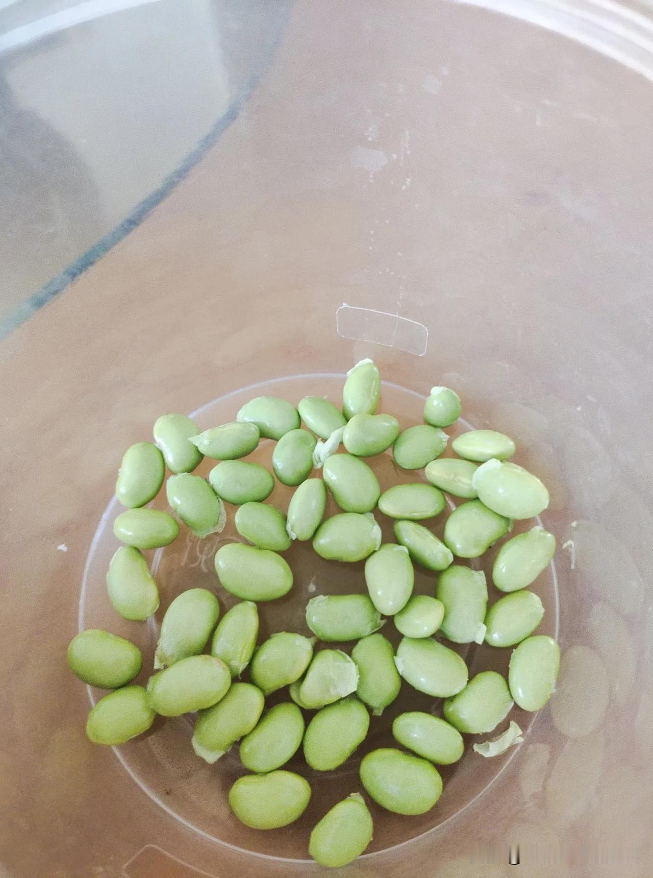分享保存毛豆方法:带壳放冰箱冷藏室保存!

闲来无事剥毛豆。

这还是五天前买的