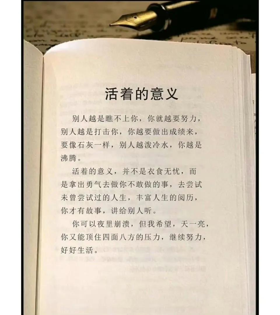活着的意义，别人越是瞧不上你，你就越要努力，别人越是打击你，你越要做出成绩来，要
