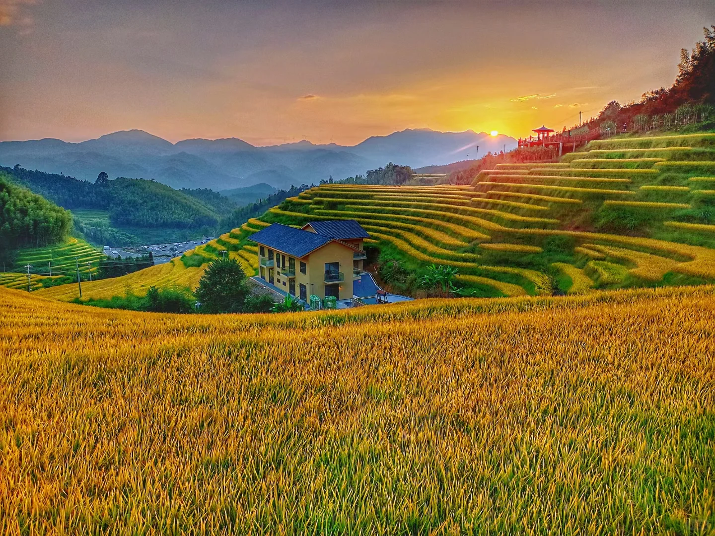 景区推荐｜赣州崇义上堡梯田（最佳观赏季节）