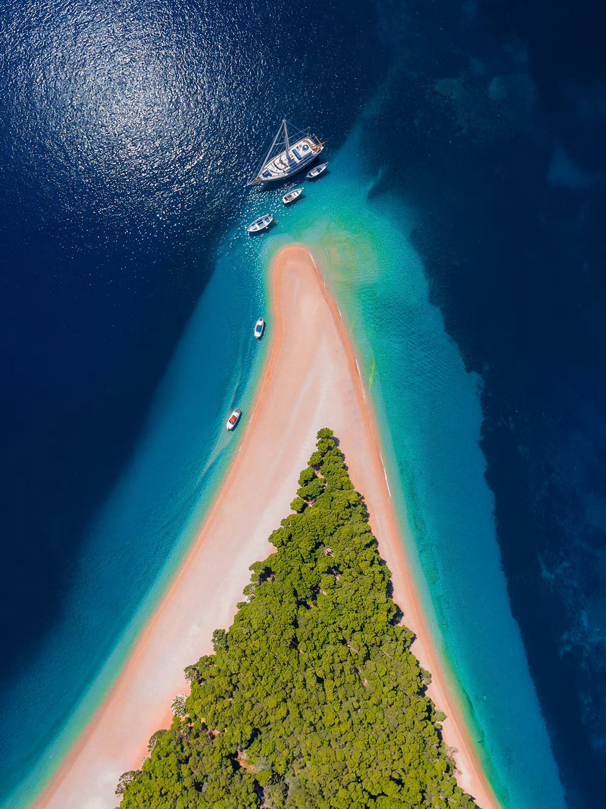 我的理想居所：🏝️🏠🚢 