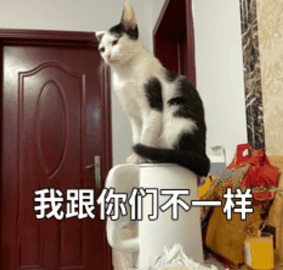有点离谱，有个朋友嫁到北京去了，现在每次跟我们这帮朋友说话都有一种居高临下的审视