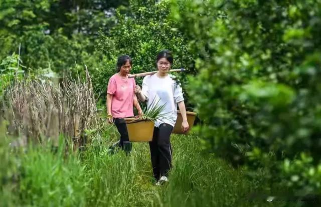 最后陈老师也提到了刘燕所在的高中，这里70%以上的孩子都来自农村的孩子，他们独立