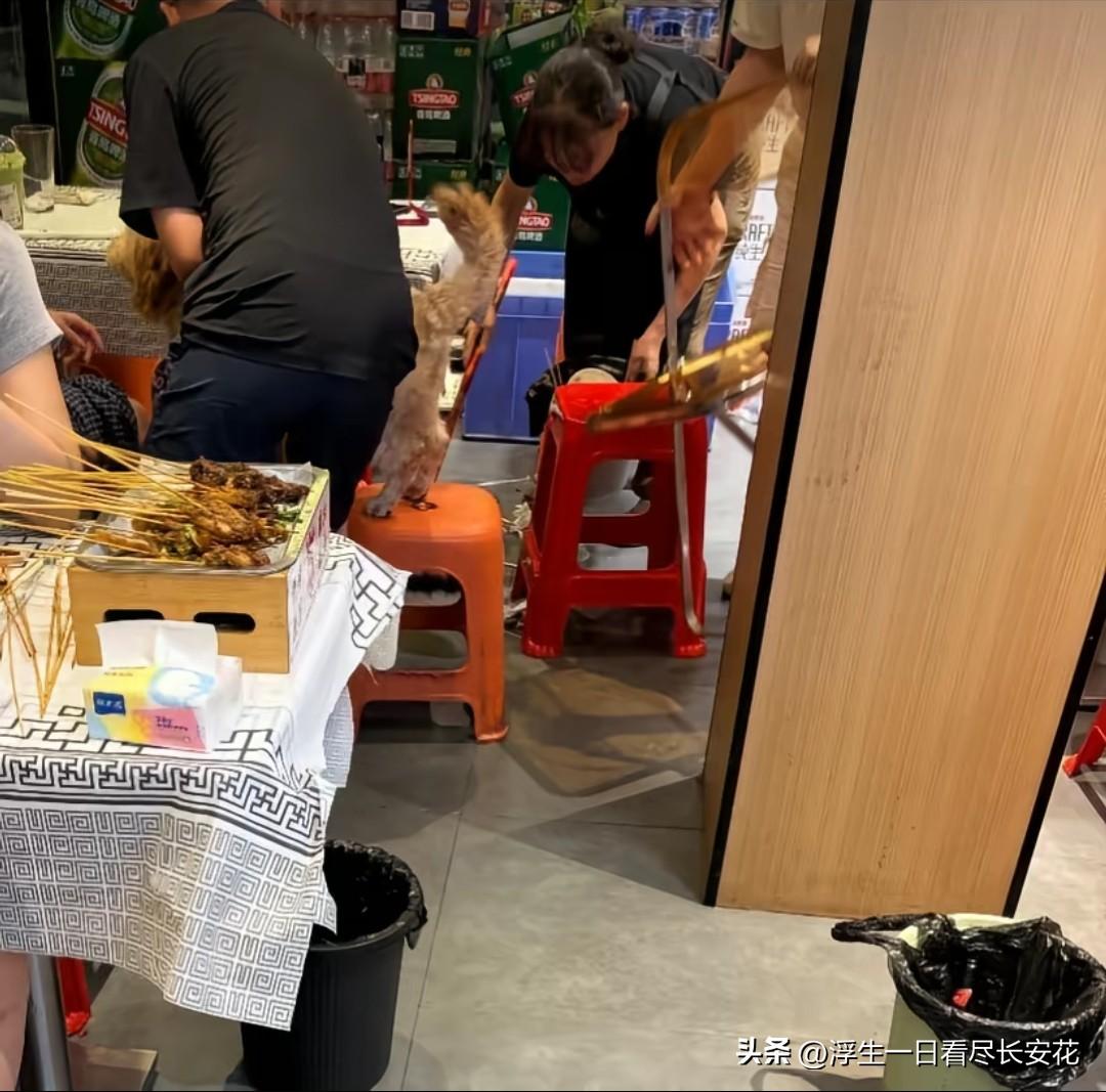 长沙岳麓区的吉客鲜货烧烤店最近差评不断，毋庸置疑，这家店太受养宠人的欢迎了，很多