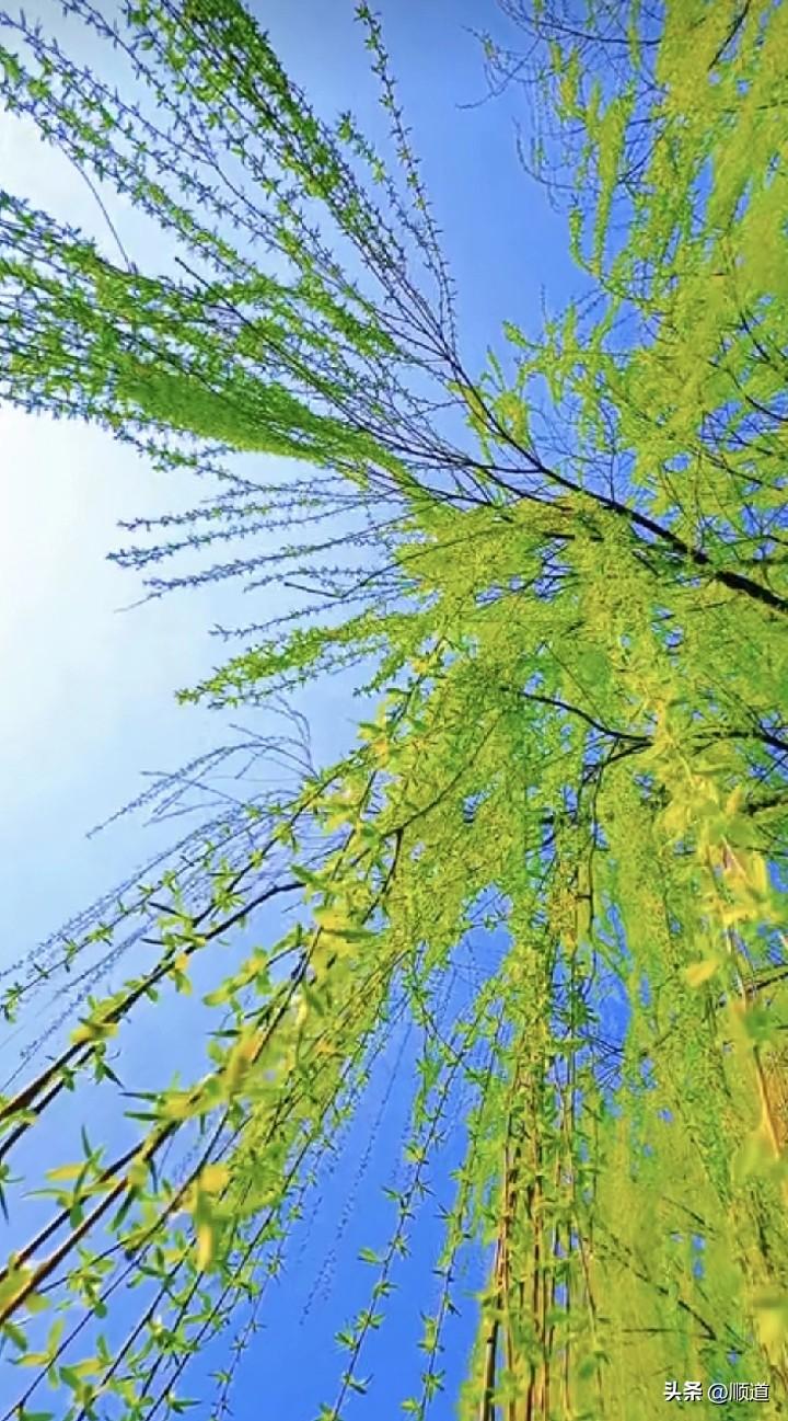 问：要不要和前夫或前妻复婚？
答：不要和同一个人结两次婚。