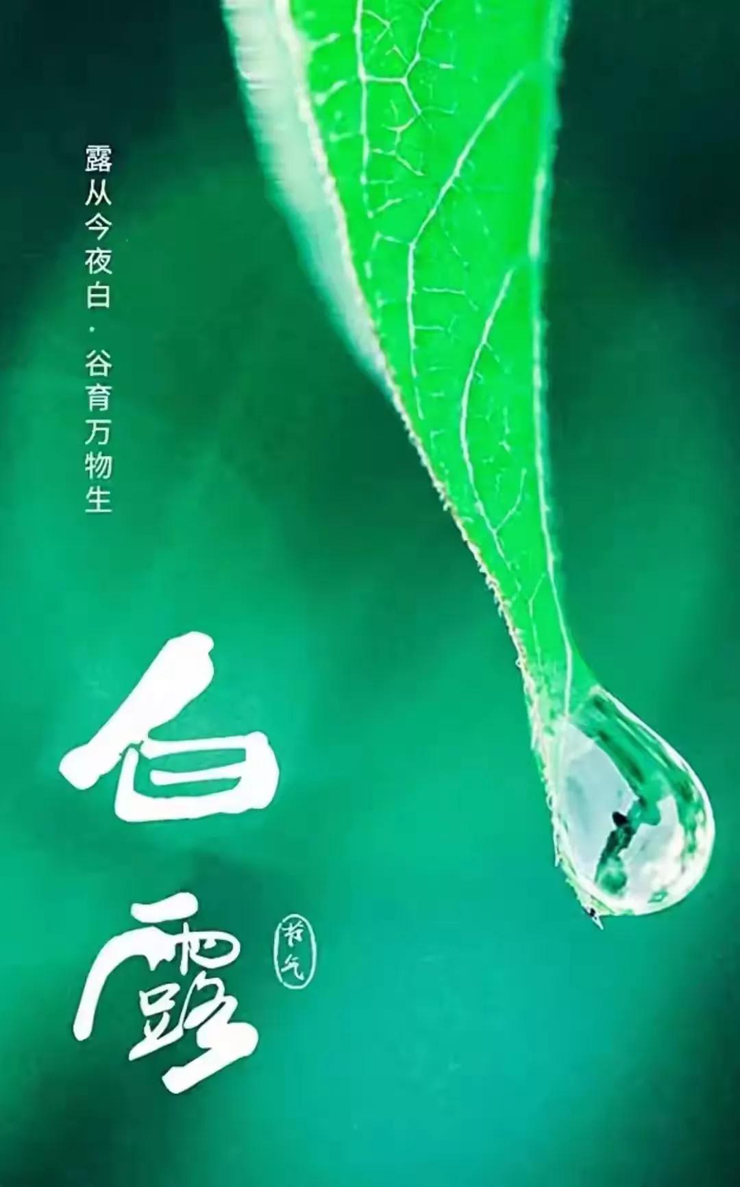 人间忽晚，山河已秋。白露至，秋意日渐浓。