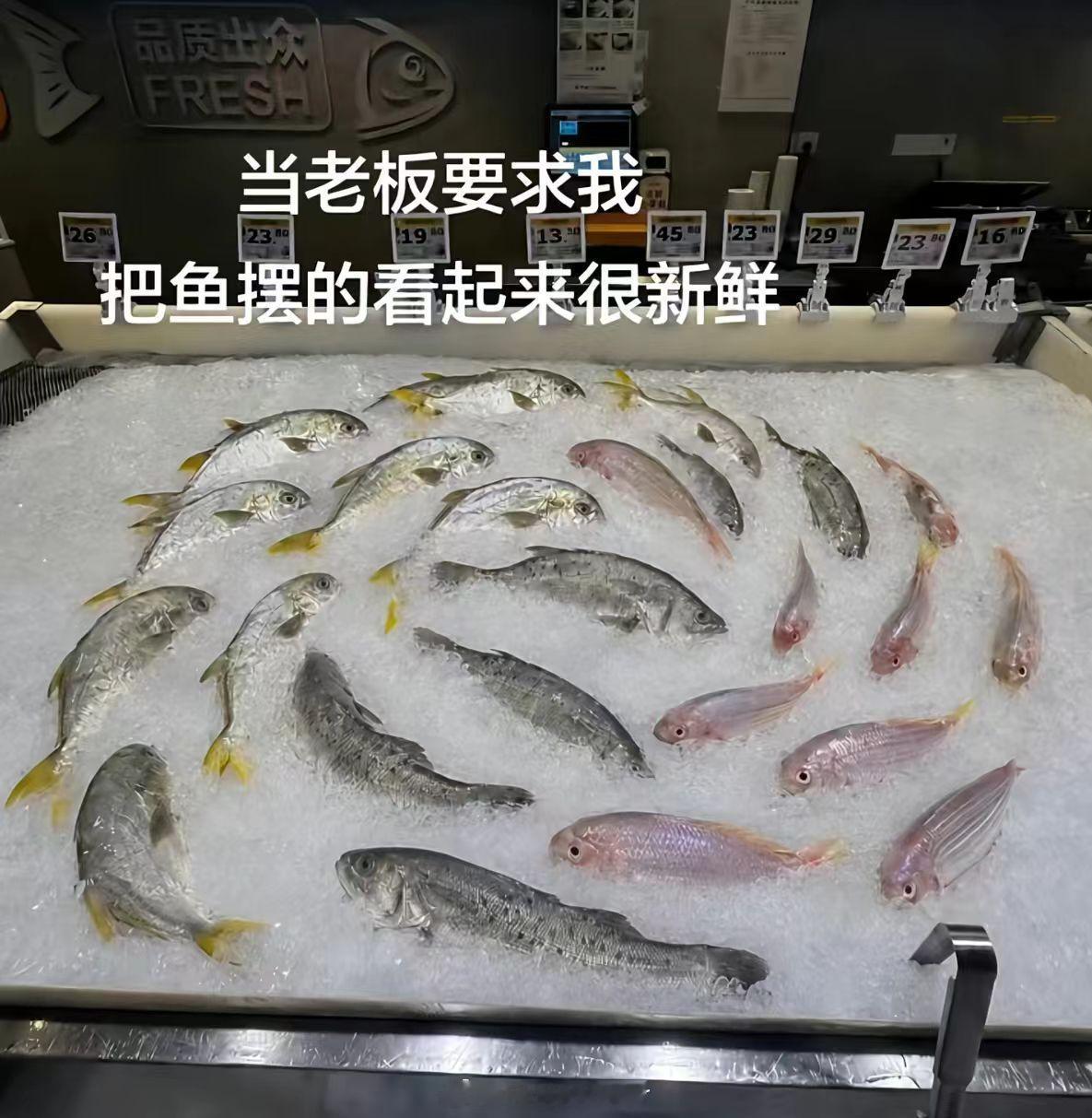 果然很新鲜 