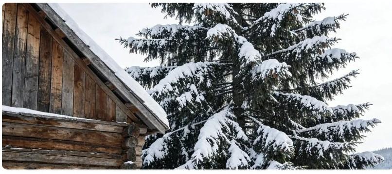 被列入失信名单的父母，孩子考军校会受影响吗？这个问题让不少家长心里犯嘀咕。其实真