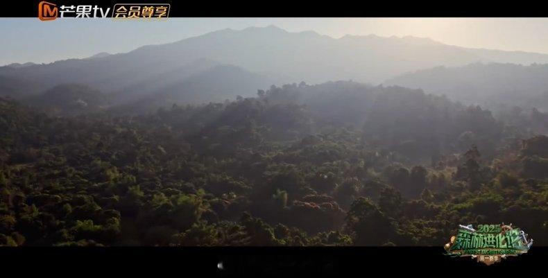 森林进化论2025 生存游戏再升级，智谋对决更刺激！6月18日先导篇带你一睹为快