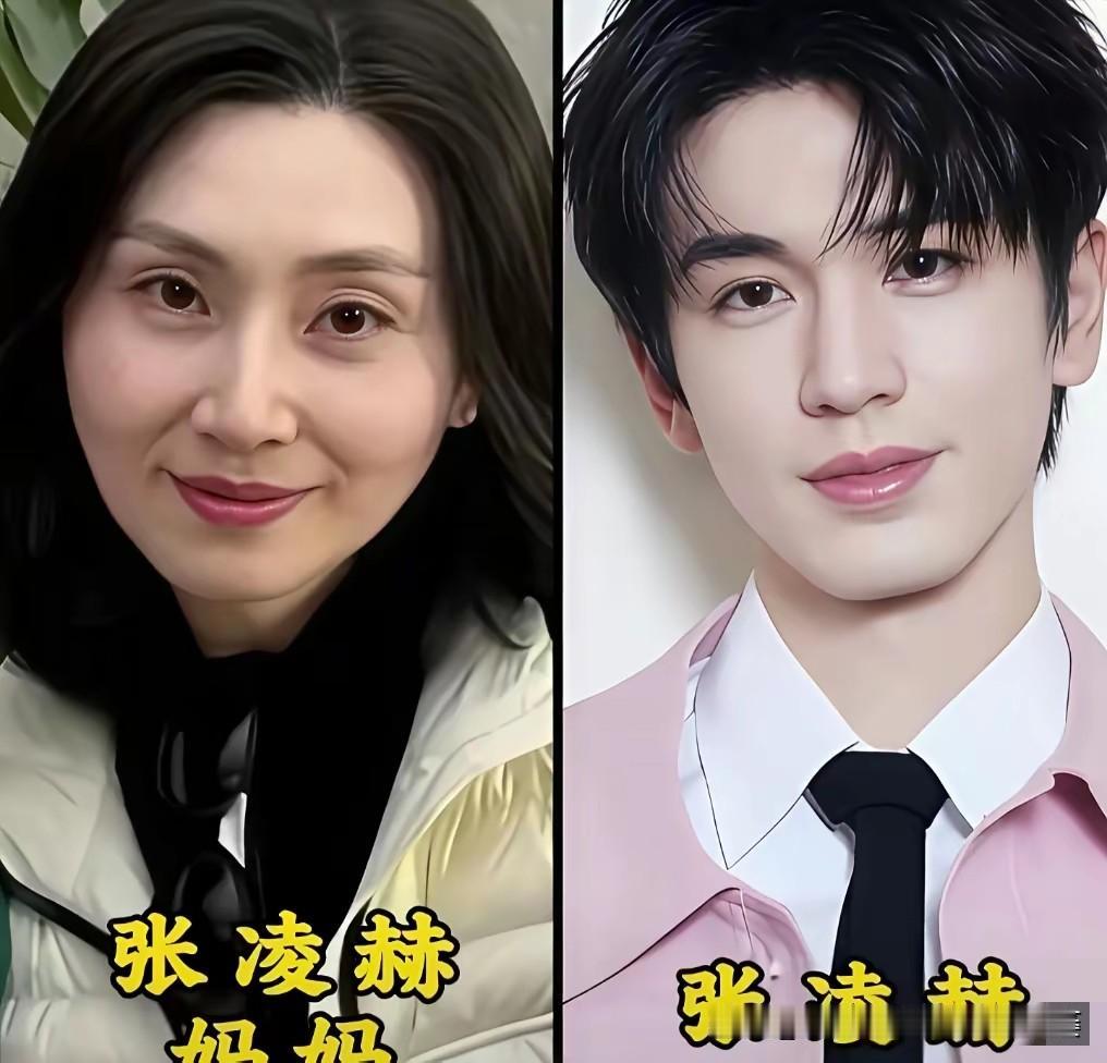 盘点那些随妈长的帅气男星，妈妈们年轻时都是大美人！
 盘点娱乐圈里“随妈长”的帅