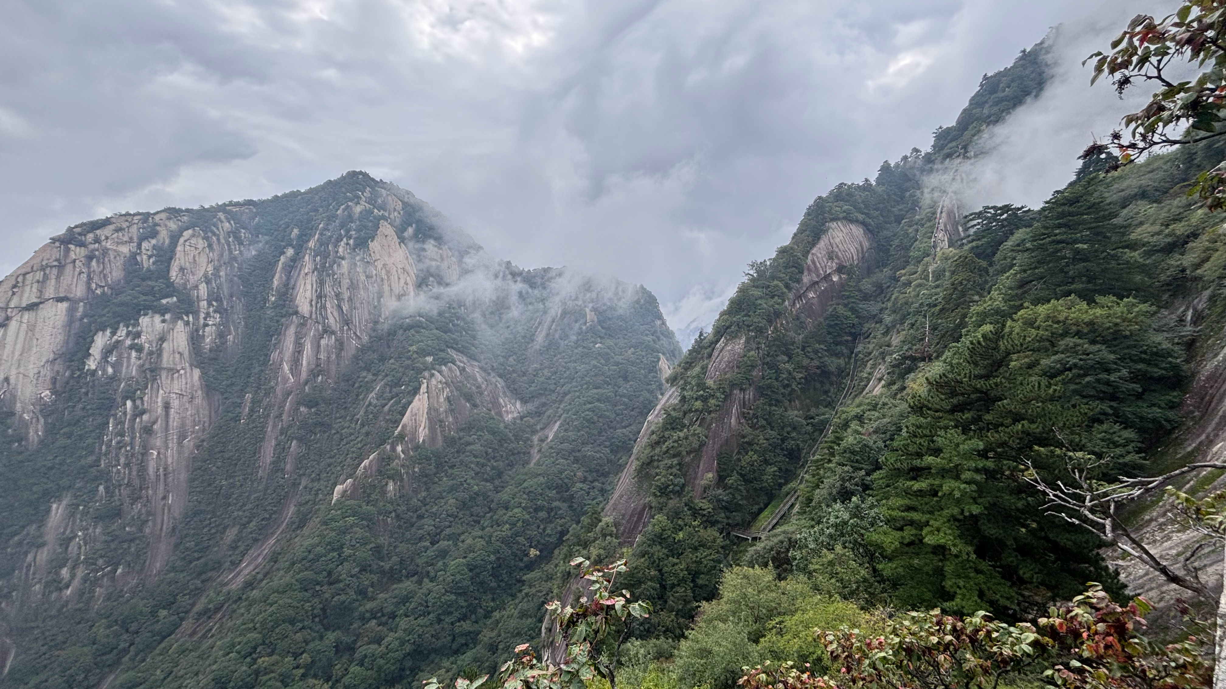 华山这么难爬，不怪严非锡一家子性格差了[跪了]累死了，体力不如老年人……还有这个