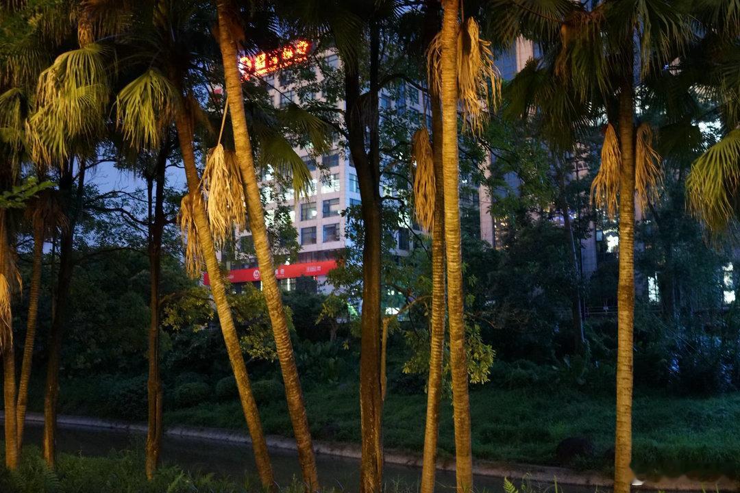 奉上每一天广州黄埔科学城广场的蓝调之夜科学城 富士GF35-70 广州·优文电子