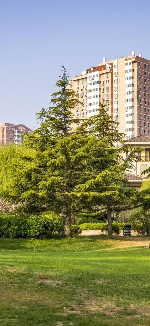 加强绿道植物选择与设施配置 提升市民出行体验与健康安全

近年来，随着城市绿道建