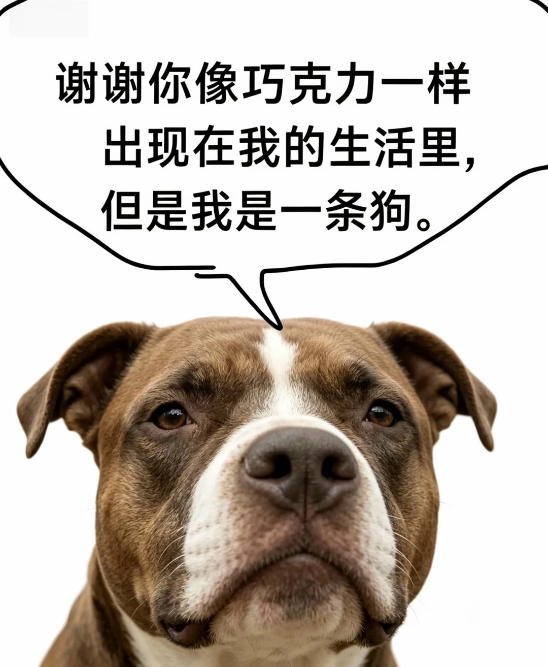 上班摸鱼轻松一下，一些meme图