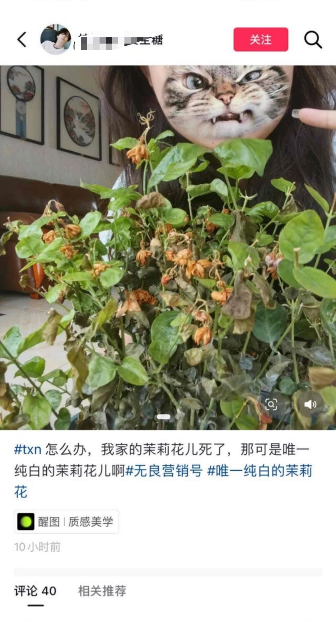 我真不行了，好恨 ​​​