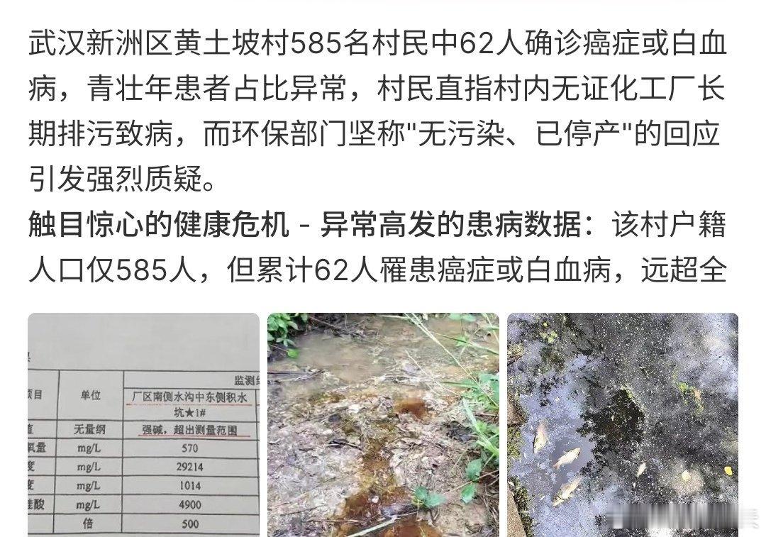全村62人患癌多名村民发声这到底是怎么回事啊 ，要知道这个村有585人，62人患