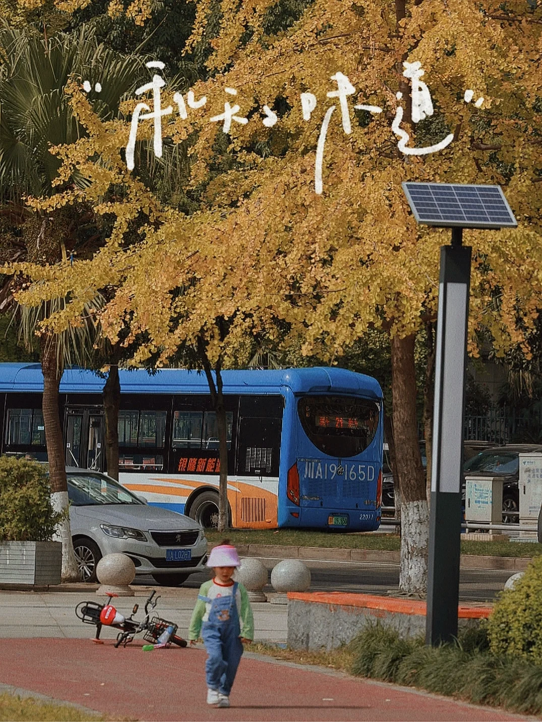 成都溜娃第2⃣️7⃣️记｜一整个爱上成都的秋天~