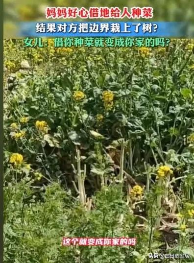 “现实版的农夫与蛇。”安徽，女子上坟回来，发现自己家的地，和邻居的边界，都种上了