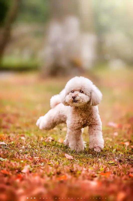 痛苦这东西，就像一场暴风雨，来的时候气势汹汹，但也别太怕它。上个月聚会，朋友小王