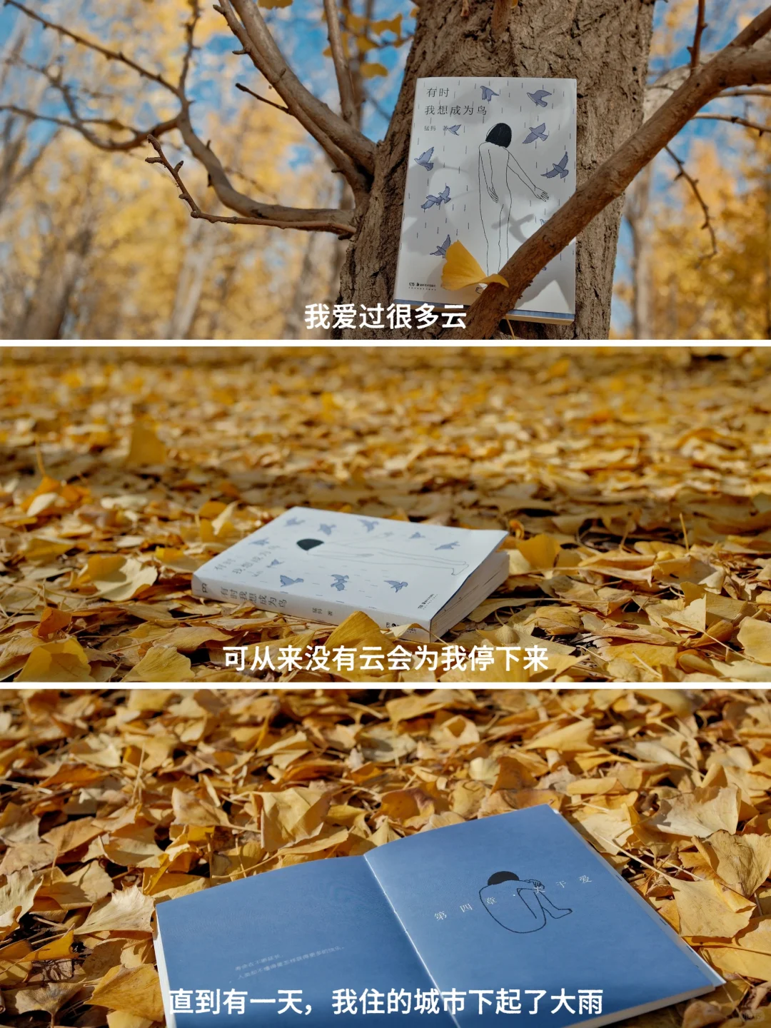 这简直是i人的本命书，真的治愈到爆