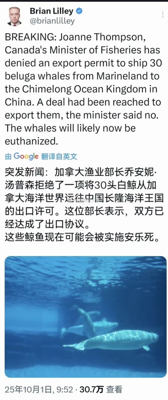 之前不卖给中国，现在要安乐死[doge][doge][doge] ​​​
