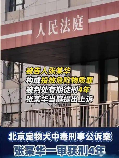 男子小区毒死宠物狗获刑4年！时隔近3年2个月，北京首例宠物中毒刑事诉讼案于12月