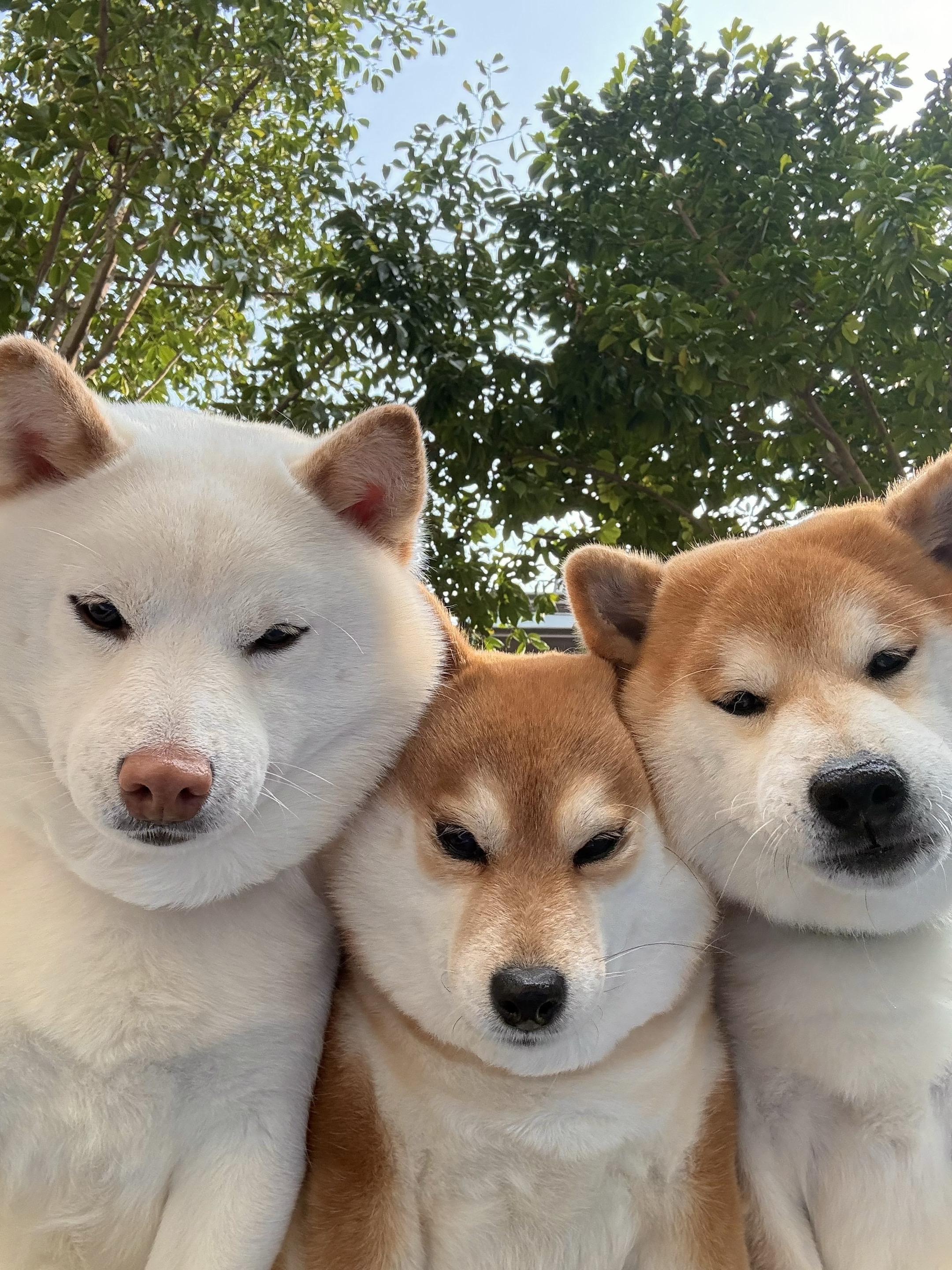 你就这样出现闯入我心里面