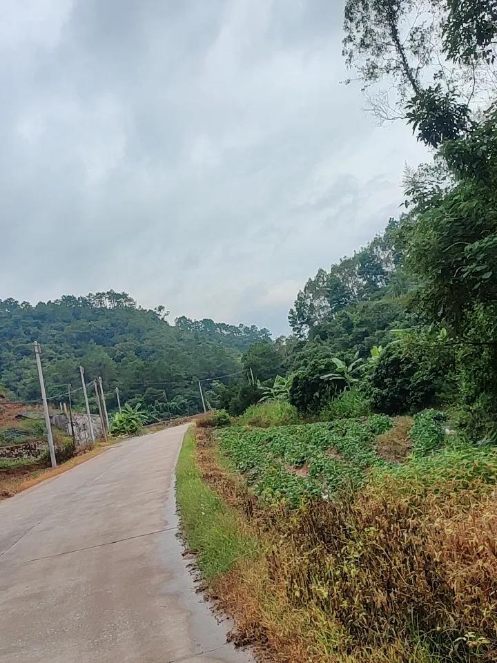 上周顺路拐进郴州苏仙区栖凤渡镇村头村，本来只是想绕开拥堵的省道，结果直接撞见了最