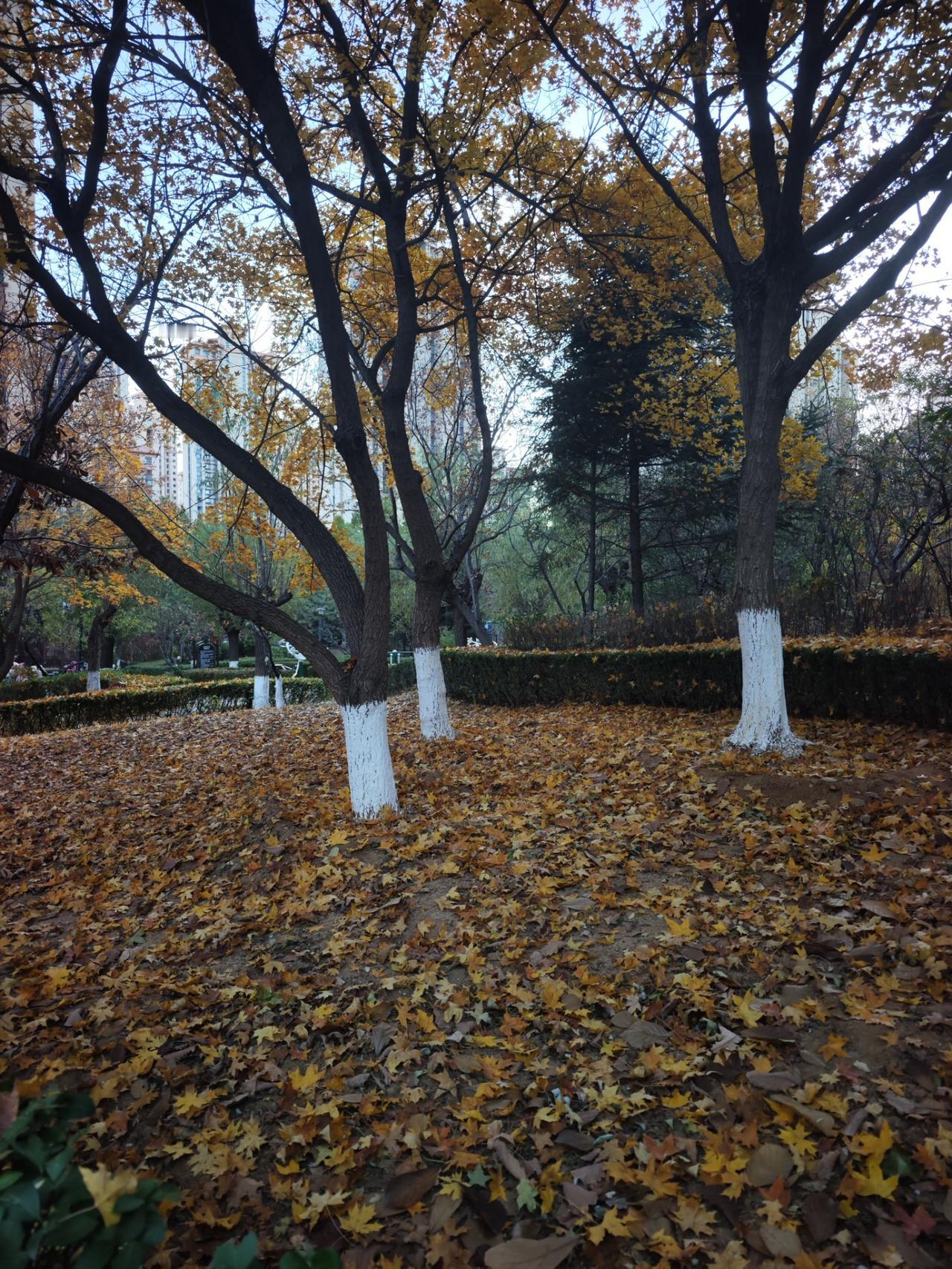 广东省深圳市中级人民法院，公开审理了许家印一案。许家印在庭审现场表示认罪、悔罪。