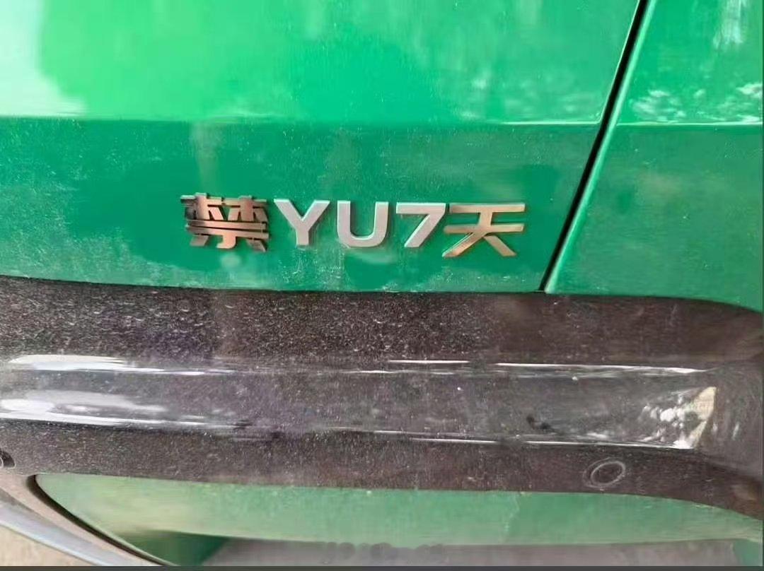 小米跟理想车主都这么会玩？受得了吗这？