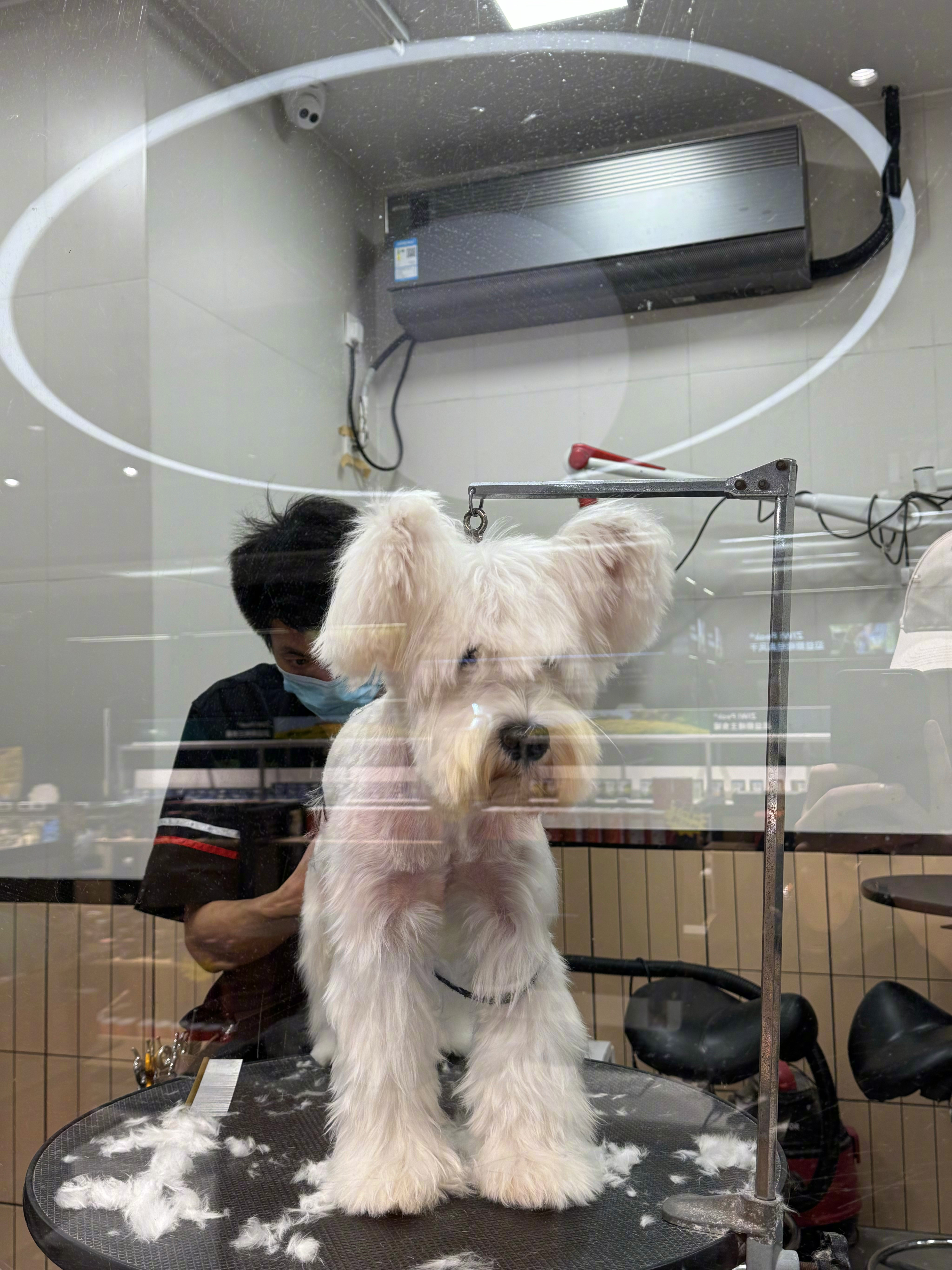 “我开始试着练习，耐心地荒废时间。” 