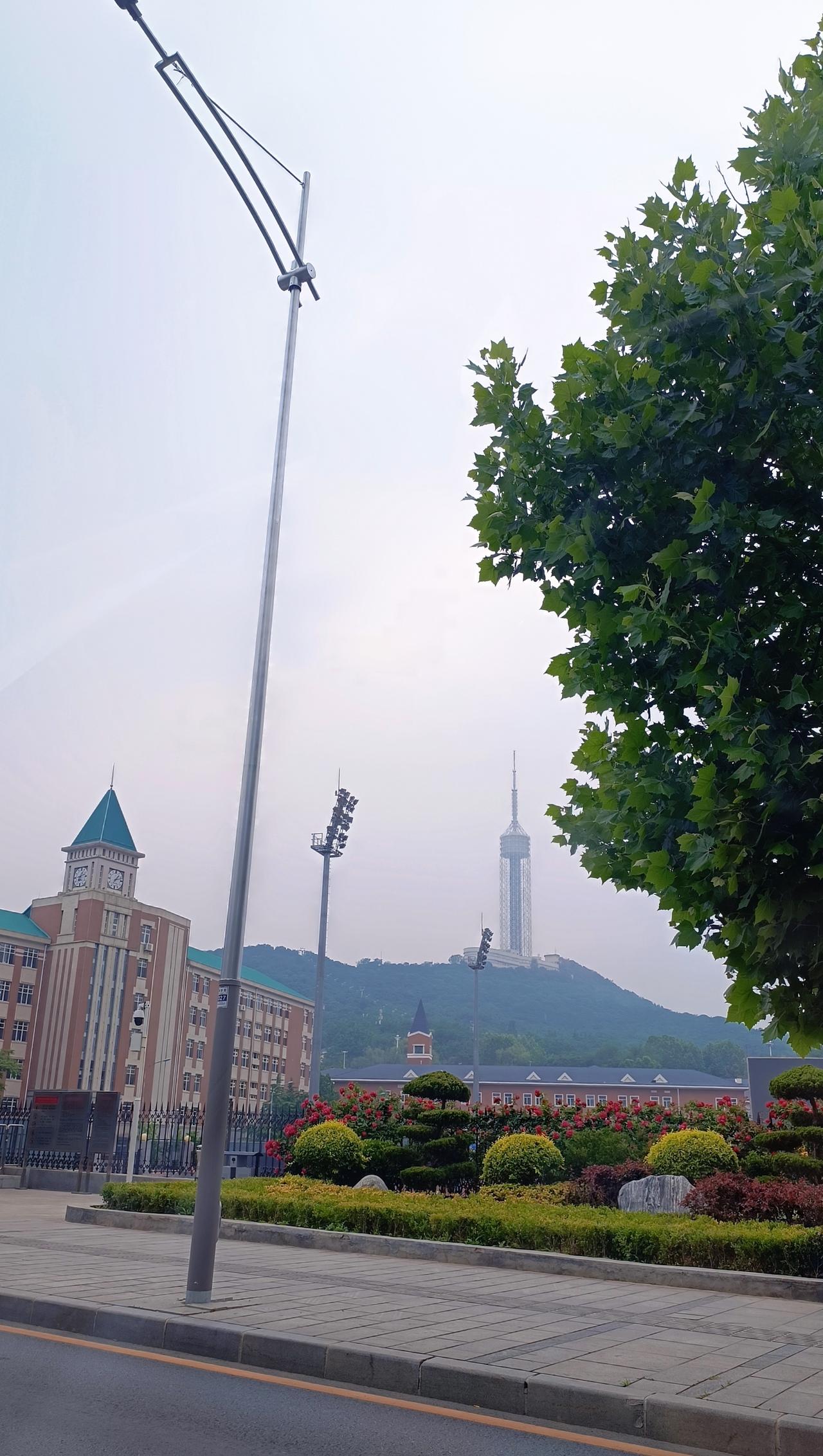 6月14日 周日🧮总结：阅读类156分钟，其中漫画1.5小时；家庭学习内容0分