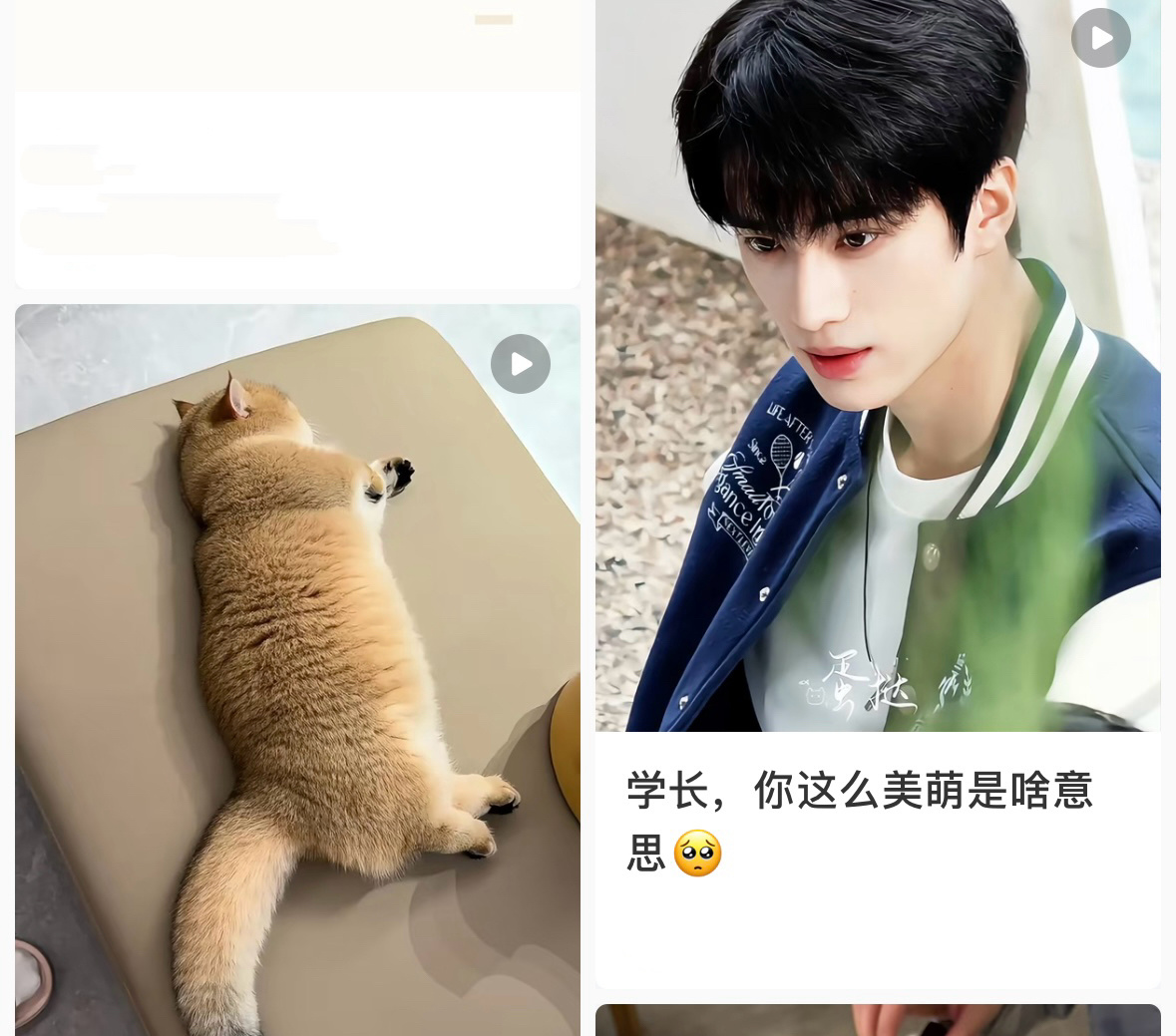 这对cp经常一起出现 ​​​