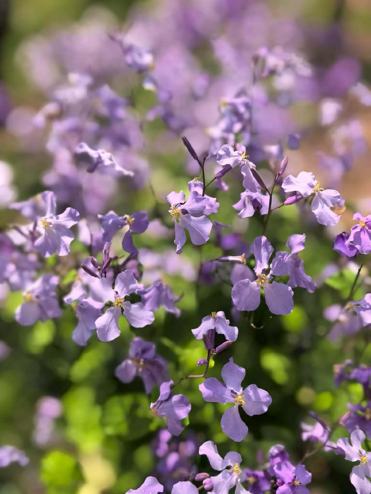 七国集团（G7）财政领导人表明，已准备好采取一切必要措施，以维护能源市场稳定与安