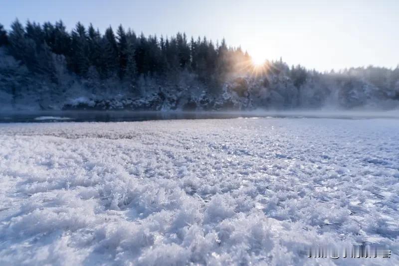 今年冬天的不同 今年冬天可太不一样了！全国大范围异常偏暖，1月平均气温较常年偏高