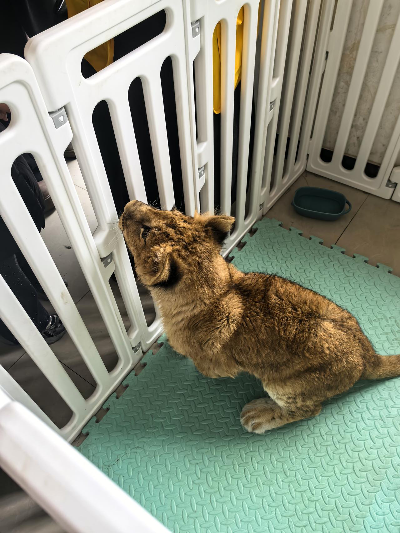 有些人结婚，真就是在害人。
这话刺耳，但琢磨琢磨，是不是这么个理儿？

现在离婚