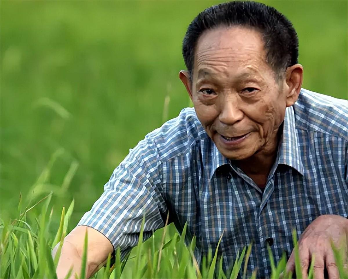 居然敢诋毁袁老？一个在全平台粉丝超过200万的所谓农业网红，40岁的杨某（网名“