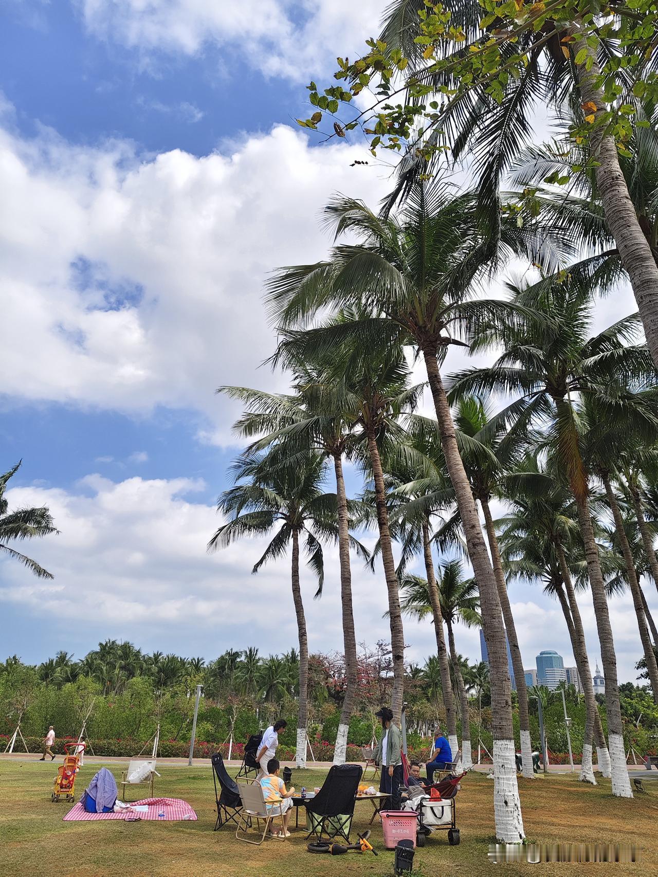 新年生活图鉴逛逛公园，呼吸呼吸新鲜空气，看👀看蓝天白云，椰树大海...