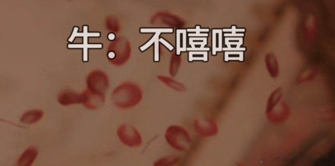 这一秒过火不能开弹幕 谁懂一开弹幕就是牛 哞哞