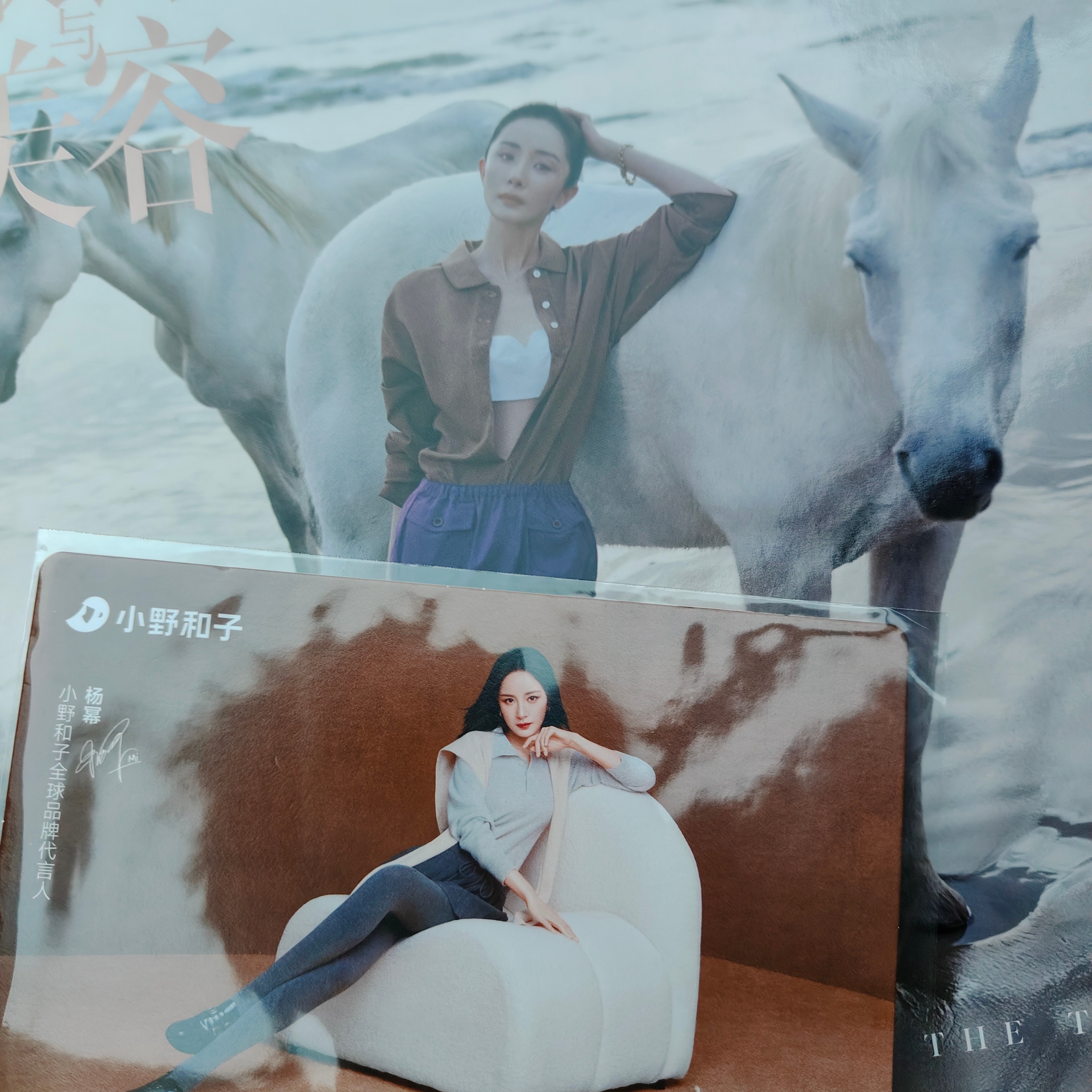 小野和子也太好了吧 还送了一张姐的明信片