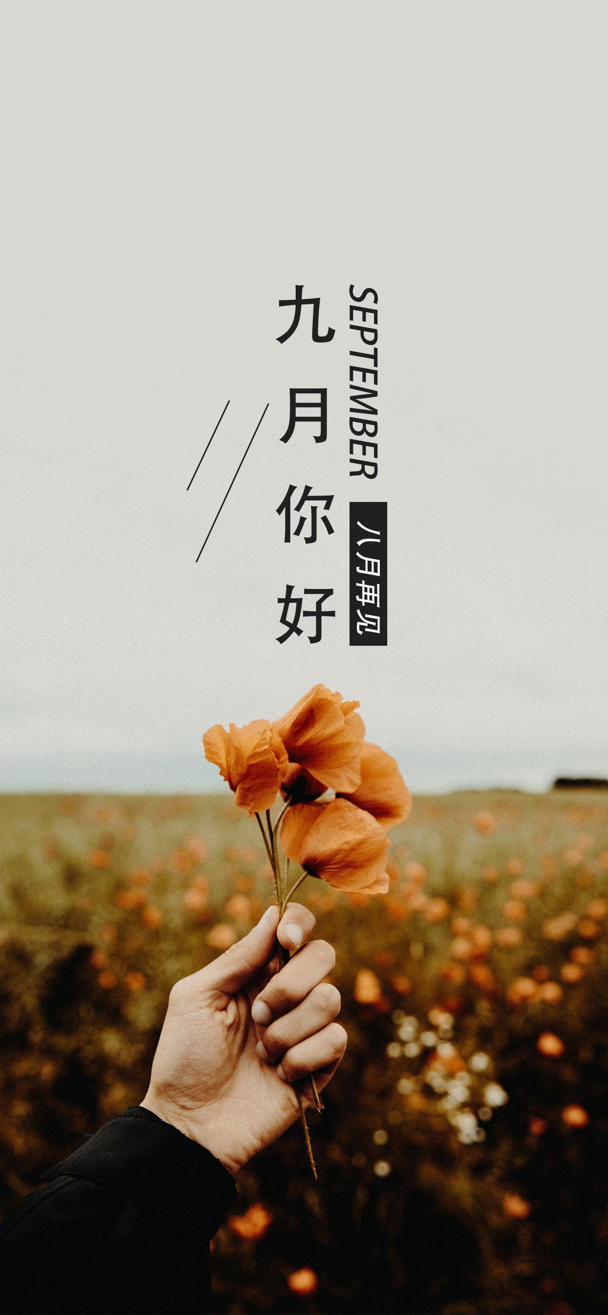 不管是喜是忧，
这一年又过去大半了。

八​月欠你的，九月会还，
如果不还，那就