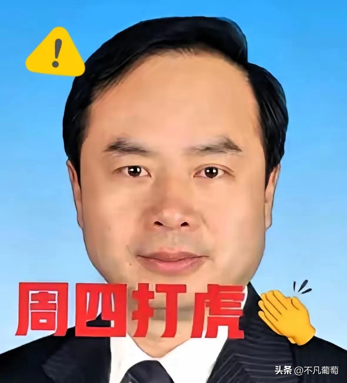 就在刚刚，又一位退休高官落马，彻底打破很多人的幻想！
64岁王奇被查，履历亮眼到