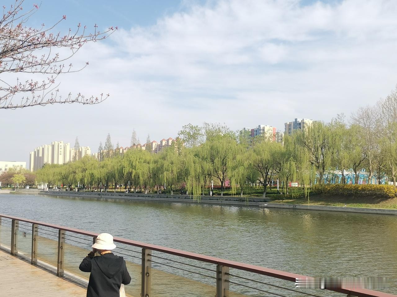 今年春天最想实现的心愿拥有一套宽敞的三房，把日常装成想要的温柔❤️