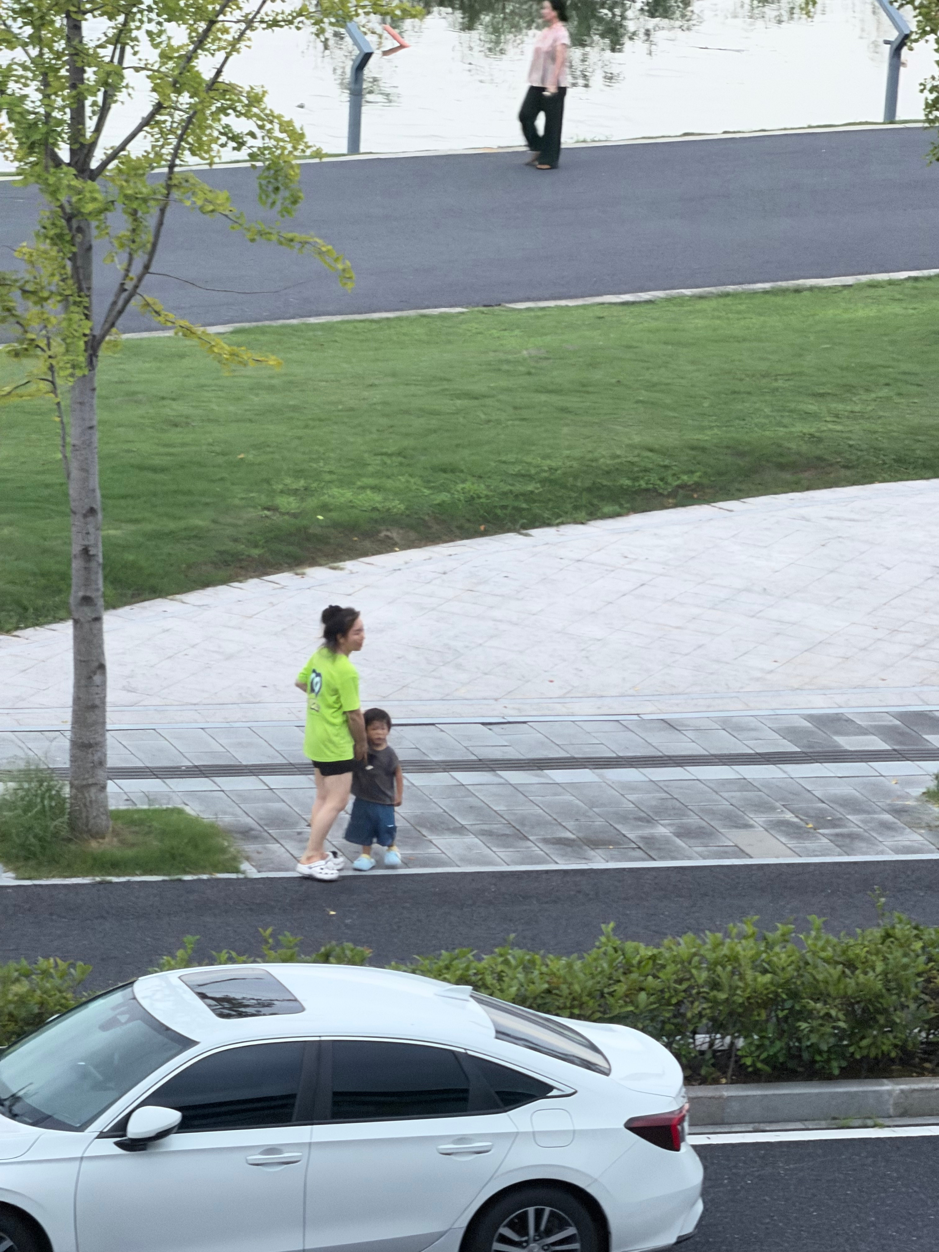 我们家这边上真的是我近几年感受过生命力最强的地方前阵子台风把湖边这一片全淹完了等