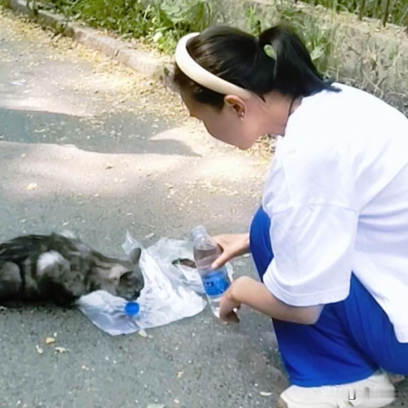 当善良的人
把仅有的钱换成猫粮与狗粮
骨瘦如柴的它们
欣喜若狂
奔跑过来
寒冬变