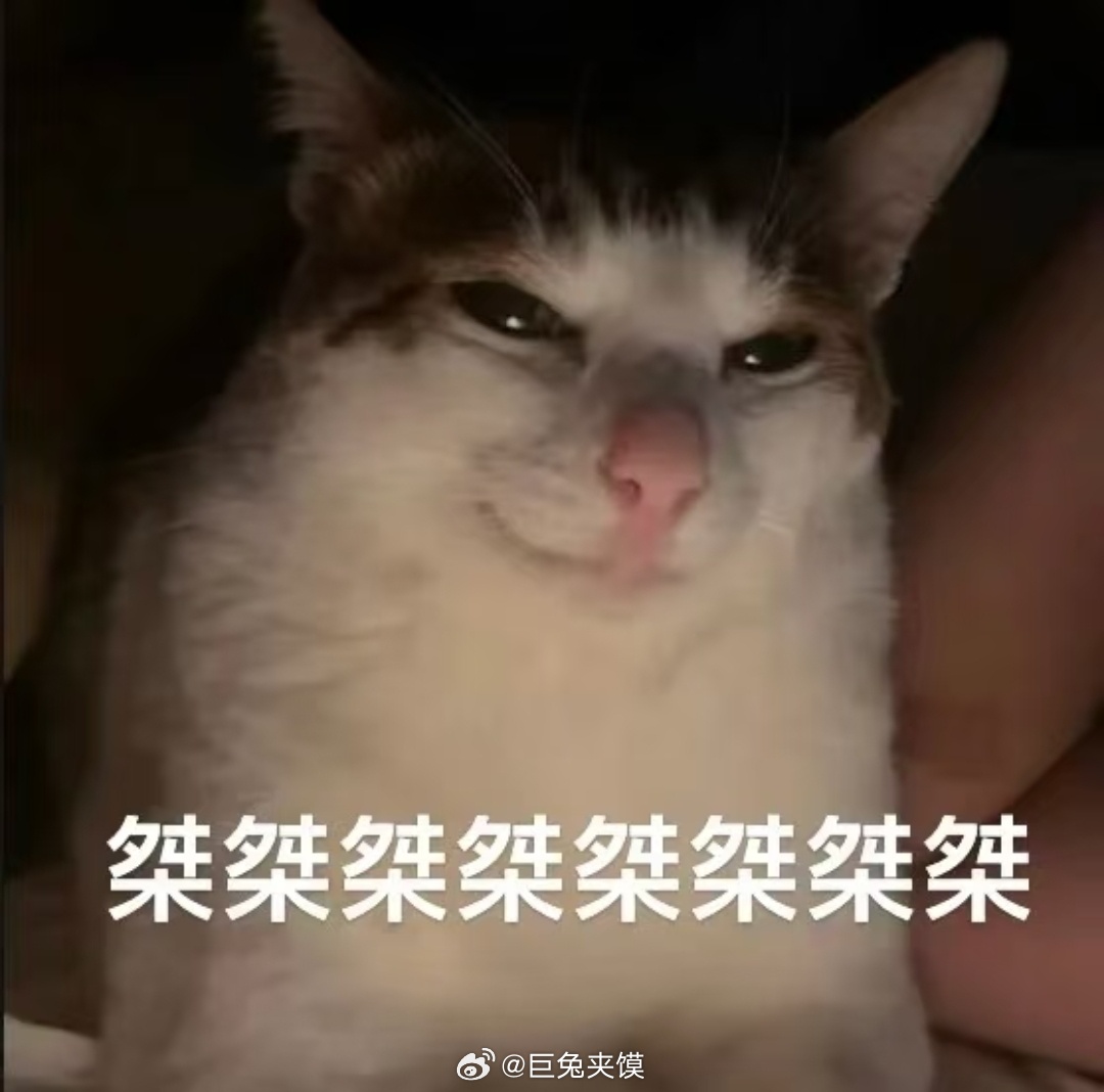 下班！新同事：又到周三了，马上又能调休了我：也不算吧，毕竟回家睡醒还是周三新同事